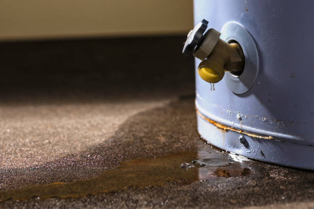 Best 24/7 water damage repair  in Lake Summerset, IL