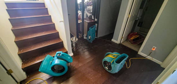 Best Fire Damage Restoration  in Lake Summerset, IL