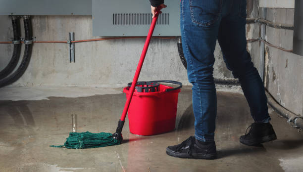Best Professional water damage repair  in Lake Summerset, IL
