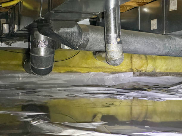 Best Water damage restoration near me  in Lake Summerset, IL