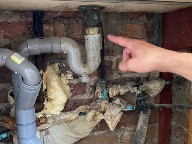 Best Basement water damage restoration  in Lake Summerset, IL