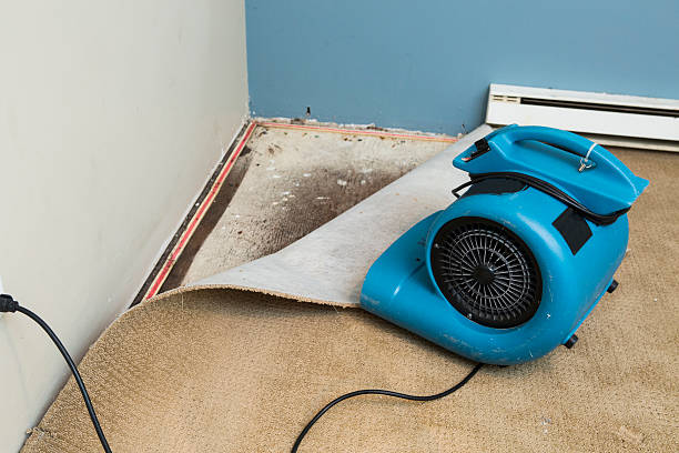 Best 24-hour water damage restoration  in Lake Summerset, IL
