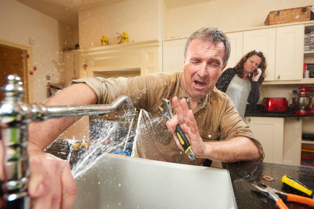Best Carpet water damage restoration  in Lake Summerset, IL
